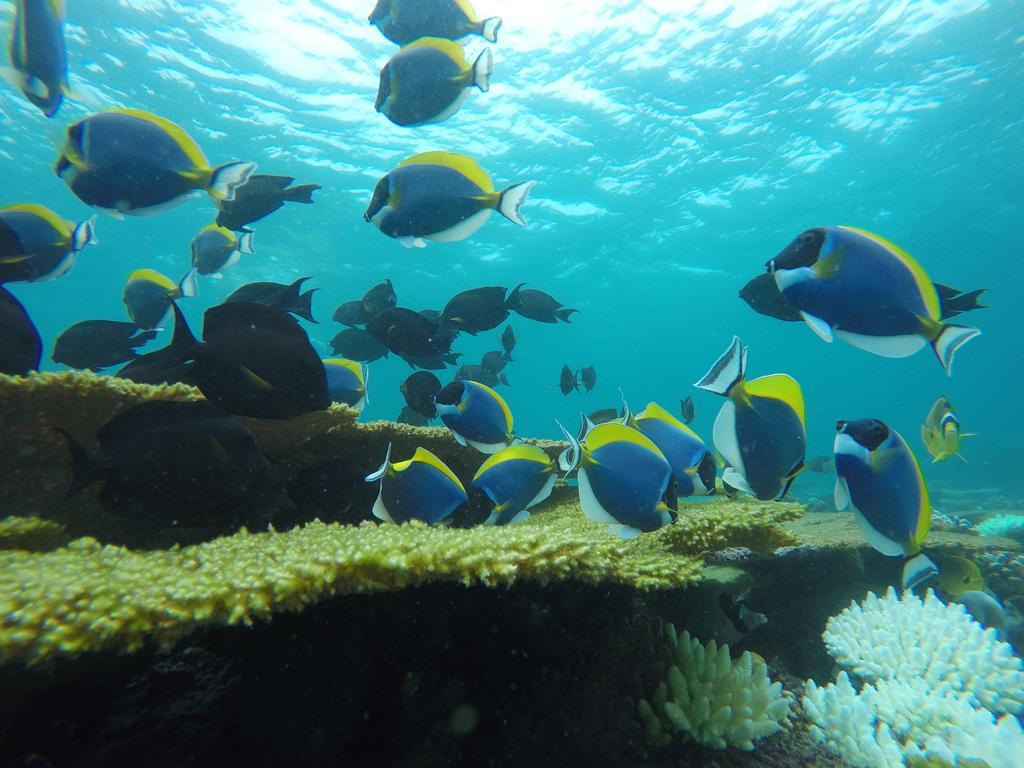 Luau Beach Inn, Maldives Fulidhoo Εξωτερικό φωτογραφία